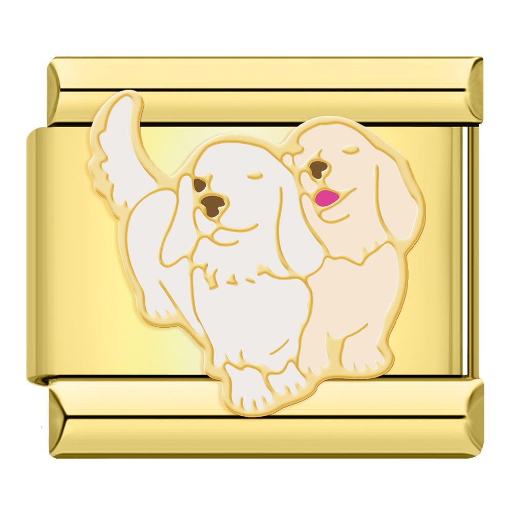 Two dogs