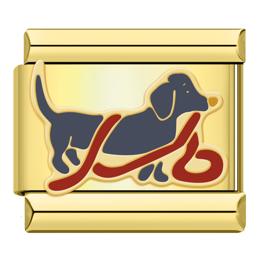 Dachshund with leash