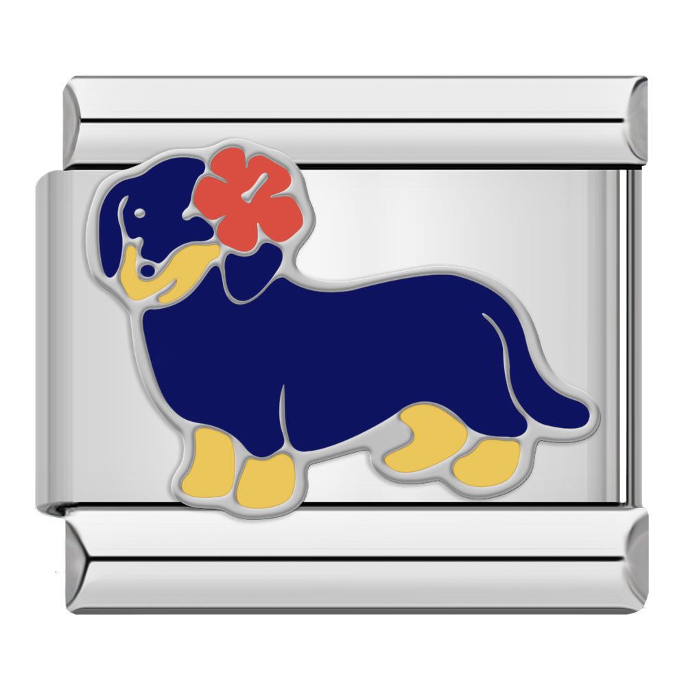 Dachshund silver