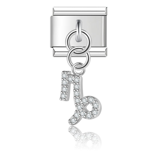 Zodiac sign Capricorn