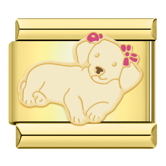 Dog with flower crown