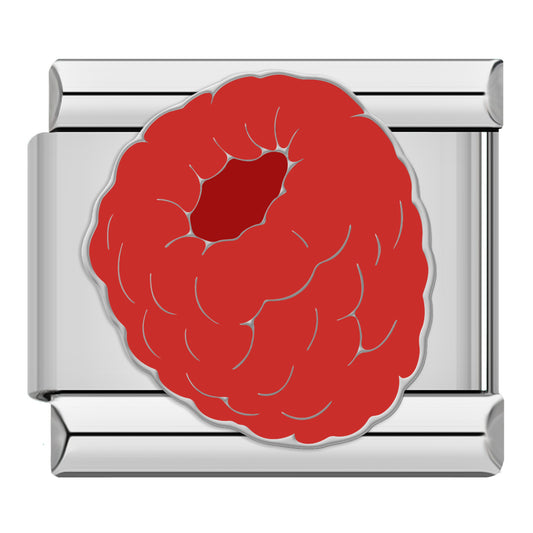 Raspberry Silver